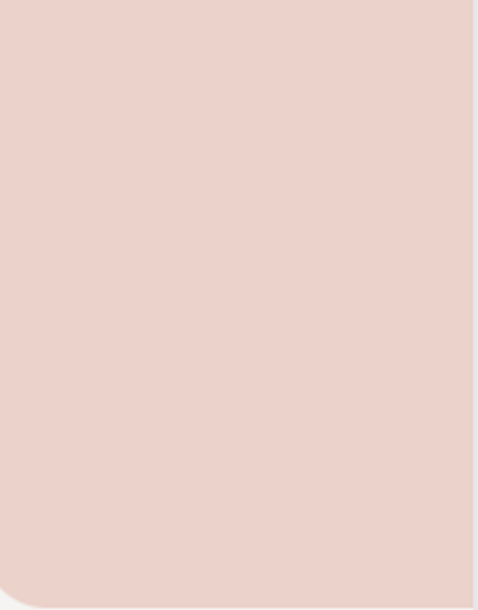 Concealer Waterproof BB Cream