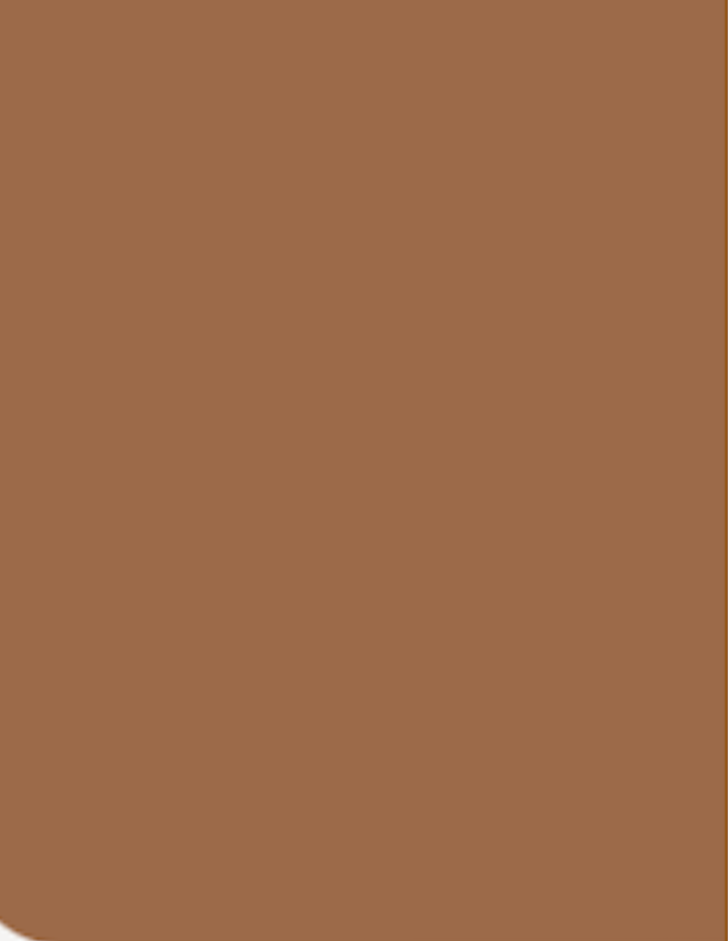 Concealer Waterproof BB Cream