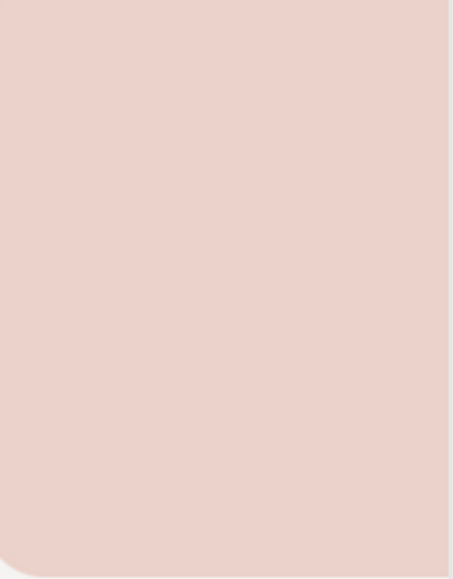 Concealer Waterproof BB Cream