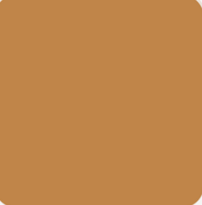 Concealer Waterproof BB Cream